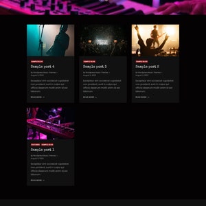 May include: A website for a music band called Chillipepper. The website features a blog with four sample posts about music. The blog posts have titles, dates, and excerpts. The website also has a newsletter signup form.