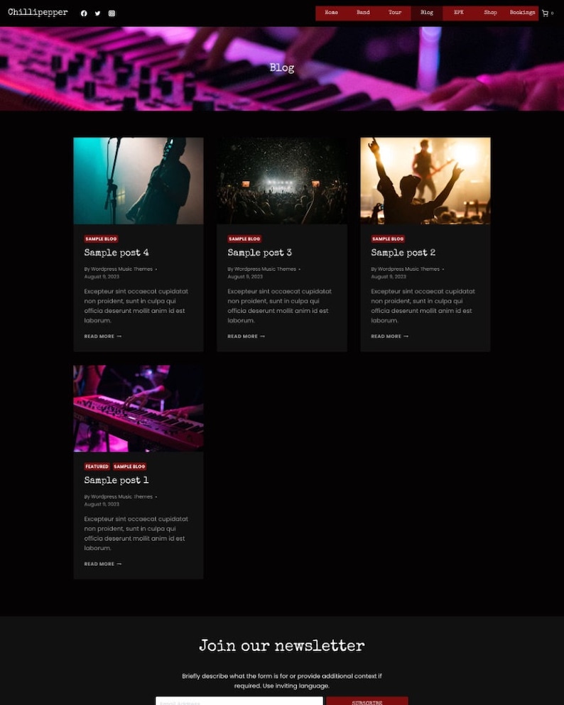May include: A website for a music band called Chillipepper. The website features a blog with four sample posts about music. The blog posts have titles, dates, and excerpts. The website also has a newsletter signup form.