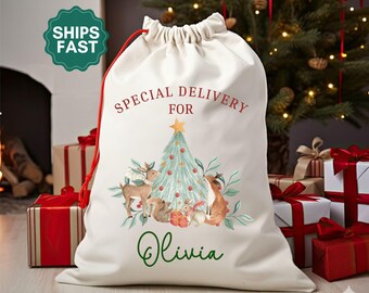 Personalized Santa Sack Christmas Santa Bag Baby's First Christmas Gift Special Delivery Christmas Bag Xmas Gifts For Kid Santa Sack