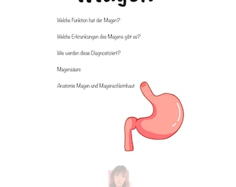 Hoja de aprendizaje del estómago