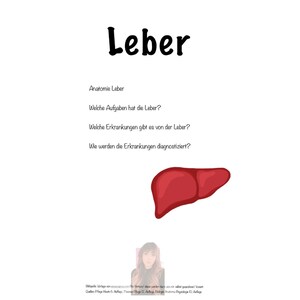 Op de afbeelding: Een diagram van de menselijke lever, een rood orgaan met een gebogen vorm, wordt weergegeven op een witte achtergrond. De tekst "Leber" staat bovenaan de afbeelding, en daaronder staan de vragen "Anatomie Leber", "Welche Aufgaben hat die Leber?", "Welche Erkrankungen gibt es von der Leber?" en "Wie werden die Erkrankungen diagnostiziert?"