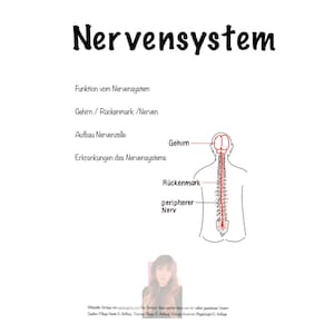 May include: A diagram of the human nervous system, showing the brain, spinal cord, and peripheral nerves. The diagram is labeled in German.
