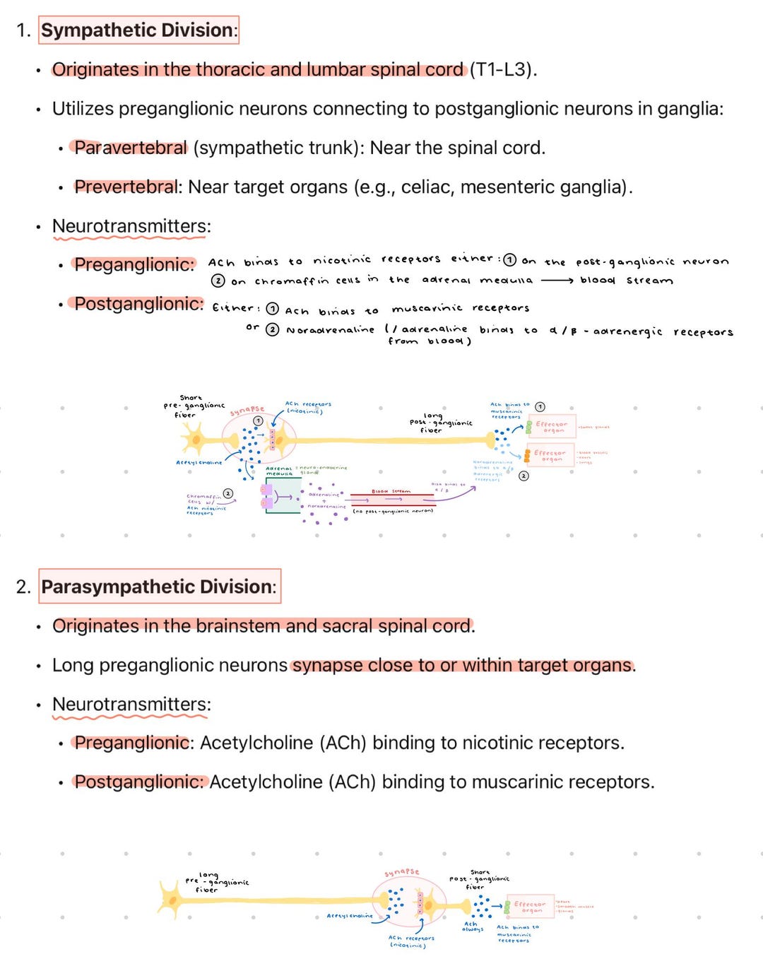PHYSIOLOGY NOTES - Fundamental Principles (first Year Med/ Second Year ...