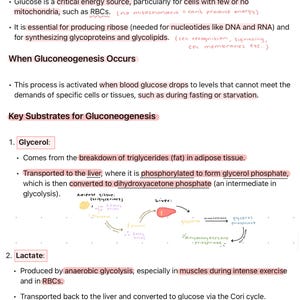 BIOCHEMISTRY NOTES - Lippincotts based (First year med/second year science)