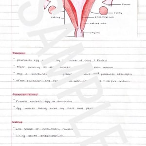 H1 Leaving Cert Biology notes