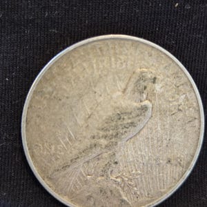 1923 D Peace Silver Dollar is Extra Fine conditioned and is from the Denver Mint. Inexpensive way to start collecting silver dollar. image 2