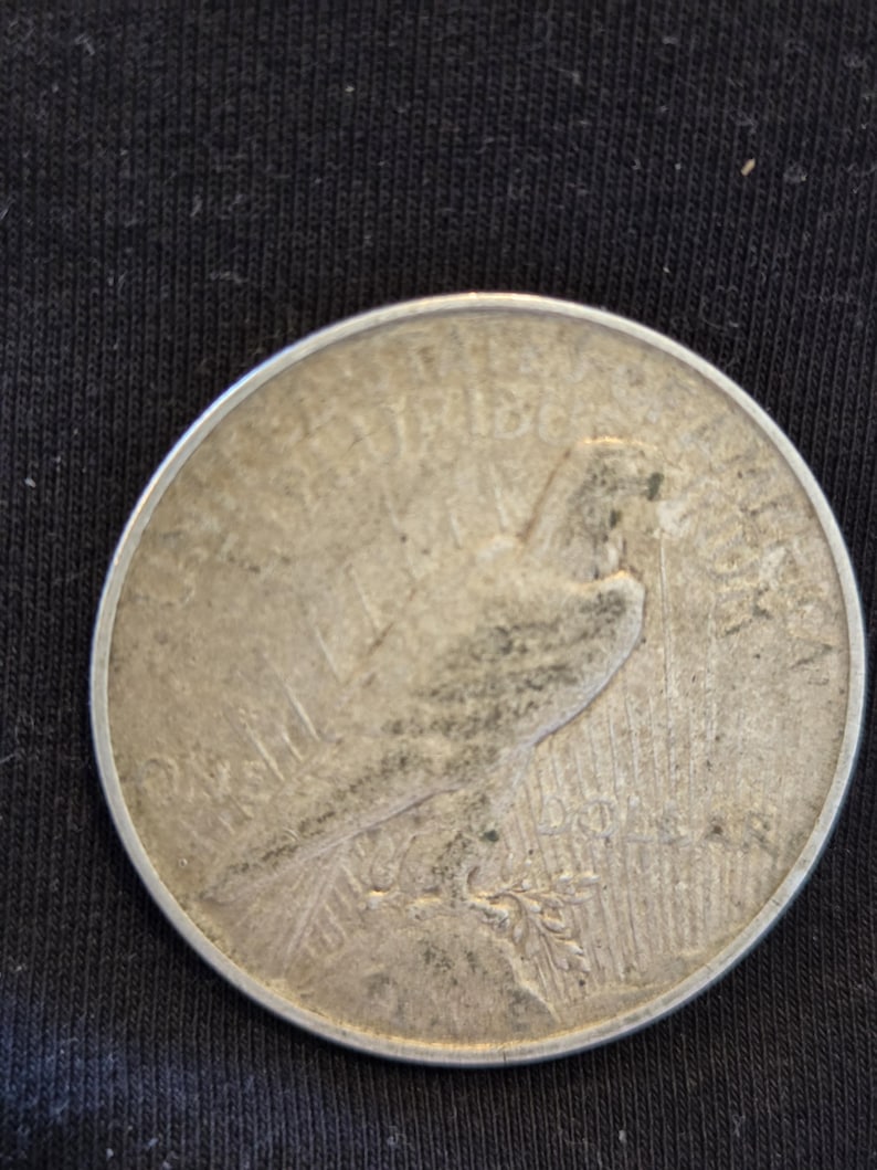 1923 D Peace Silver Dollar is Extra Fine conditioned and is from the Denver Mint. Inexpensive way to start collecting silver dollar. image 2