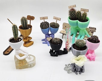 Cadeau mariage invités pot de fleur cactus 3D