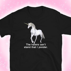 The Haters Can&#39;t Stand That I Ponder whimsigoth whimsical funny meme shirt, wizardcore, Unisex T-Shirt, unicorn shirt, y2k clothing,