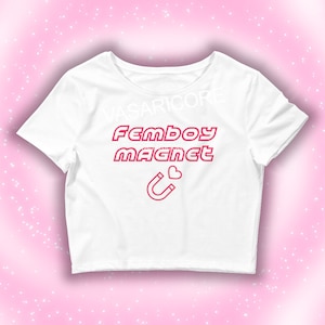 FEMBOY MAGNET croptop crop tee slogan, tomboy Astolfo cosplay, cat ears, thigh high, collar,pride tshirt, queer shirt, bisexual pride, egirl
