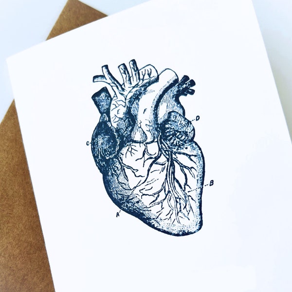 A Simple Love Card | Valentines, Anniversary, Get Well Card | Anatomical Heart Card | All Occasion Card
