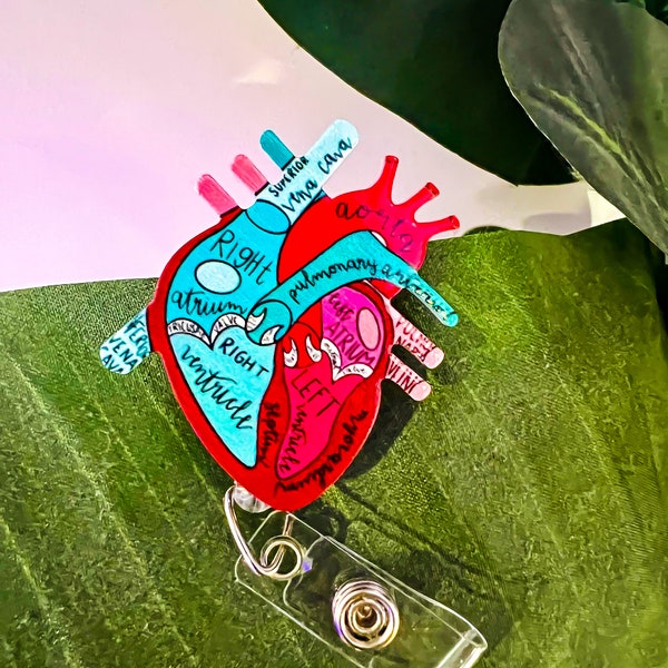 Anatomical Heart badge reel | Cardiac badge reel | Cardiologist | Nurse badge | Cath Lab | Aorta |