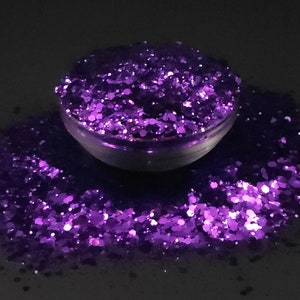 Lake Minnetonka Lila Reflektierende Chunky Mix Exclusive Polyester Glitzer Becher Handwerk Make-up