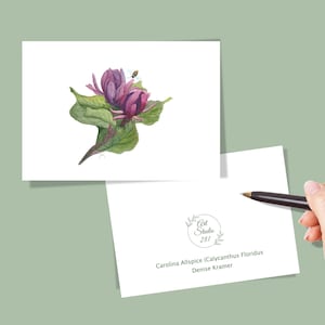Carolina Allspice-Calycanthus floridus, Native Flower Watercolor Note Card Set