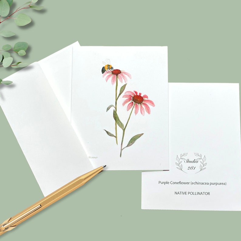 Native Flower Watercolor Note Card Assortment Set of 8 Etsy