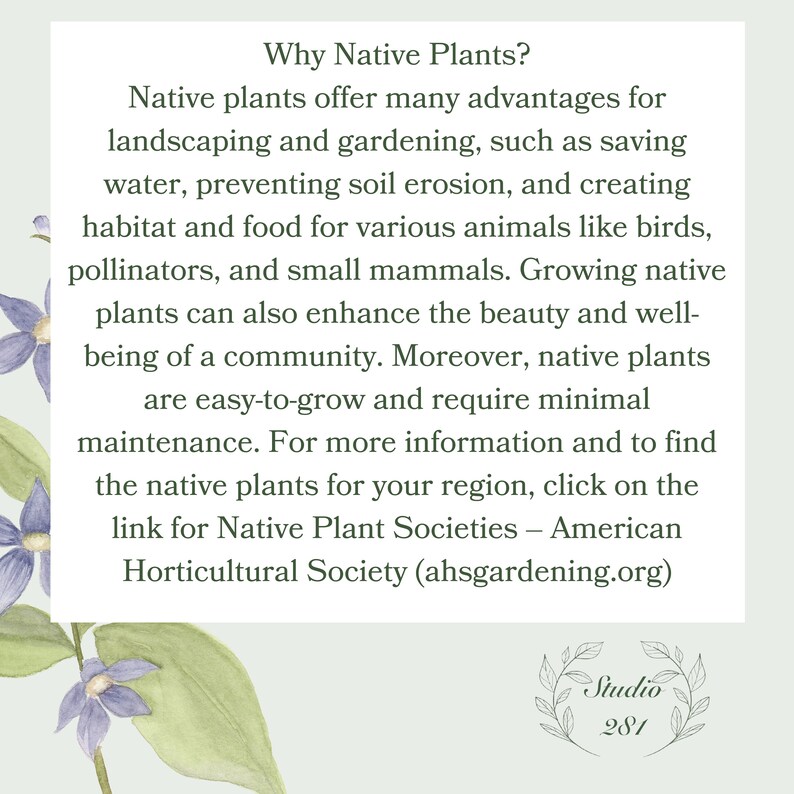 Native Flower Watercolor Note Card Assortment Set of 8 Etsy