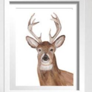 Buck Watercolor Print