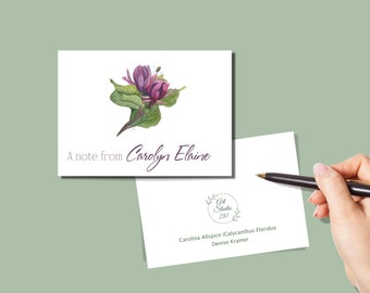 Carolina Allspice-Calycanthus floridus, Note Cards, Personalized 4.25" x 5.5" with envelopes