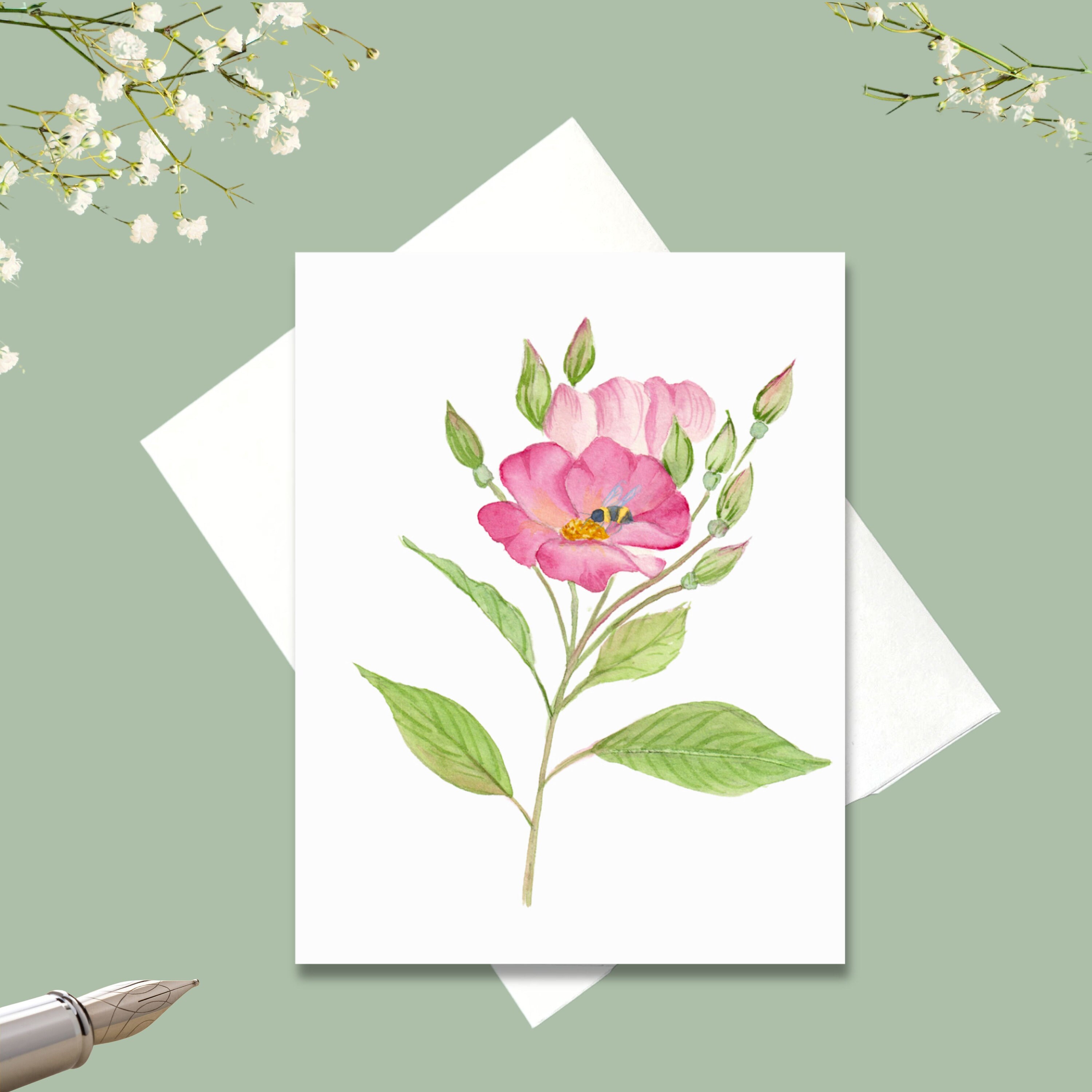Climbing Prairie Rose, Native Flower Watercolor Note Cards, Set of 8 - Etsy
