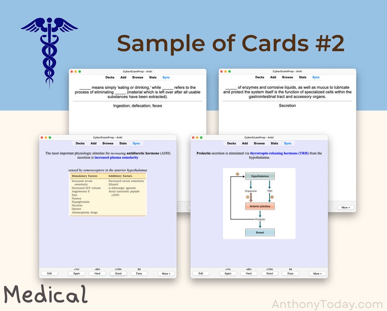 Ultimate Anatomy Physiology Flashcards Bundle 2024 Medical Notes Anki