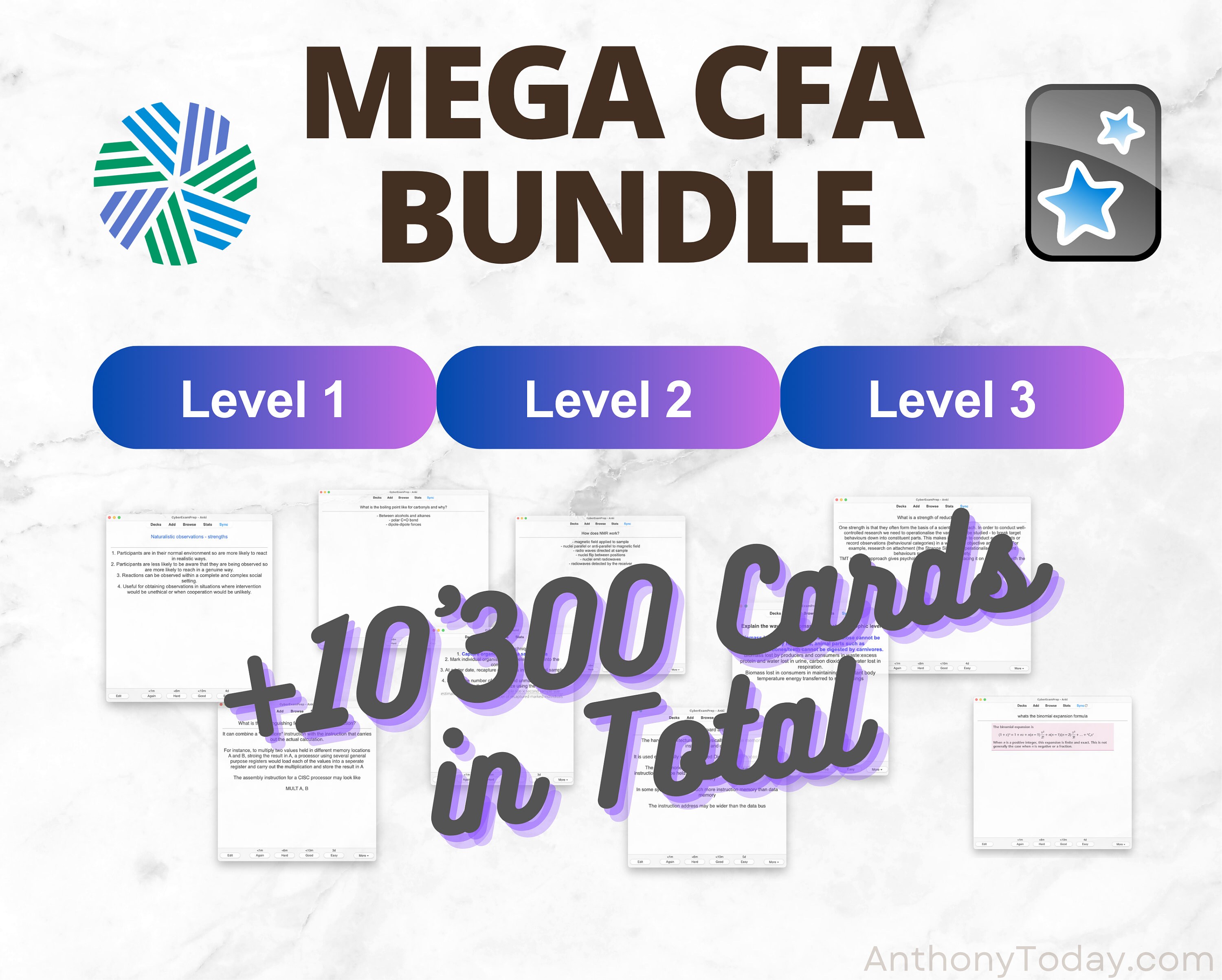 Mega Bundle CFA Level 1 2 3 Flashcards 2024 Anki Cards Exam Prep