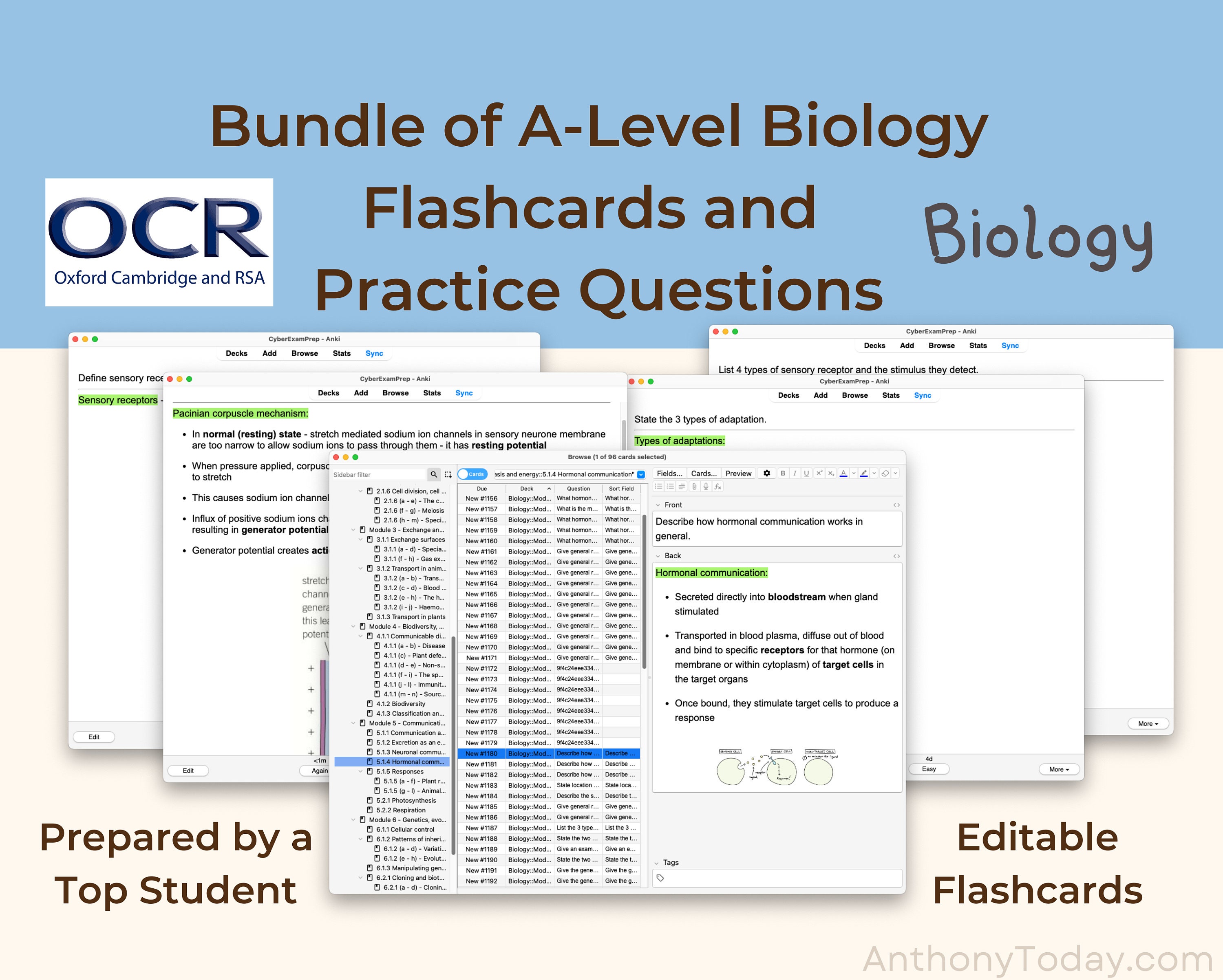 Biology A Level OCR A Exam Anki Cards for Student Flashcards Biology