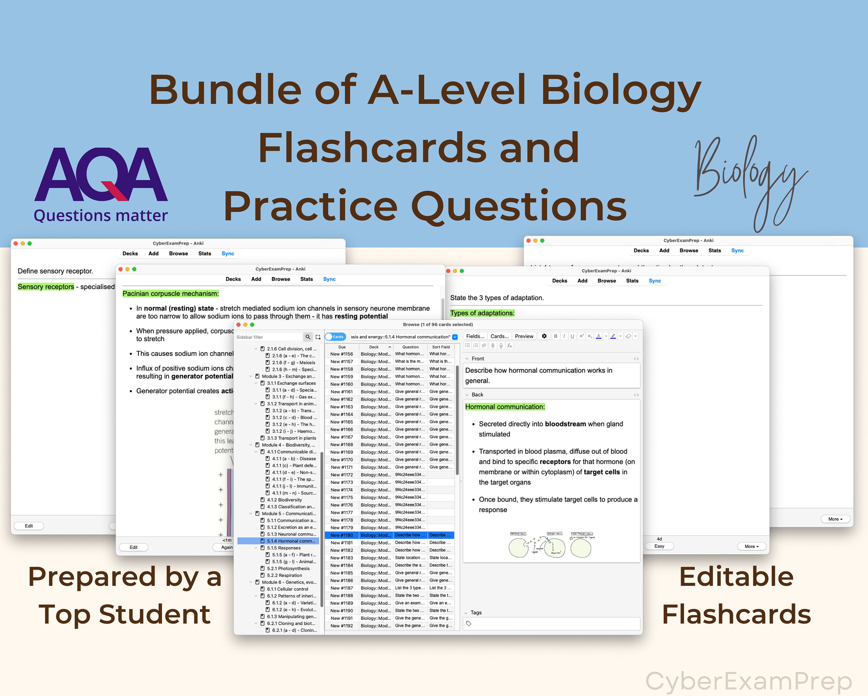 Biology OCR A Level Exam Anki Cards for Student Flashcards and Practice
