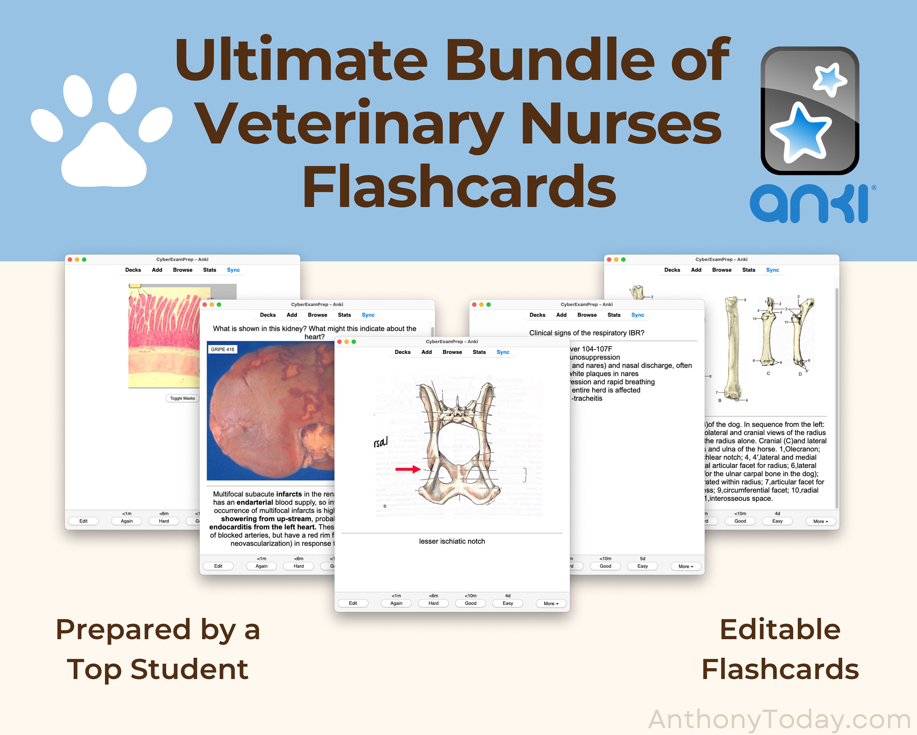 Ultimate Veterinary Nurses School Bundle Flashcards Anki Cards Vet Med