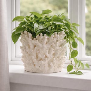 May include: A white coral-shaped planter filled with vibrant green leafy plants. The planter sits on a windowsill, with natural light illuminating the textured surface and the cascading foliage. A decorative piece for indoor plants.