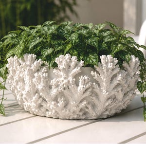 May include: A white, round planter featuring a textured, raised coral-like exterior design. The planter is filled with a lush, trailing green plant that has heart-shaped leaves with light green and silver variegated patterns throughout.