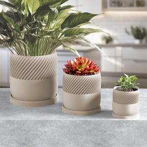 Minimalist Biege Indoor Planter with Drainage Tray – 4”, 6”, 8” Modern Ceramic Pot