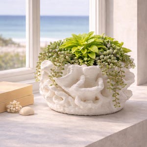 Peut inclure: Un pot de fleurs blanc en forme de corail rempli de plantes vertes. Le pot est posé sur un rebord de fenêtre avec vue sur la mer. Les plantes ont des feuilles vert vif et des tiges retombantes. Un petit morceau de corail décoratif et une pierre lisse sont à côté du pot.
