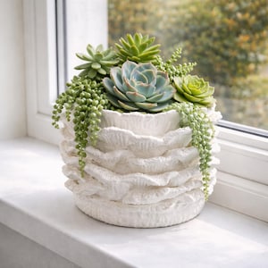 May include: A white, textured ceramic planter filled with various succulents. The arrangement includes a large, blue-green succulent in the center, surrounded by smaller green plants and trailing string of pearls. The planter sits on a windowsill.