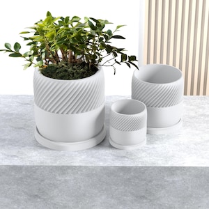 May include: Three white ceramic plant pots with a textured, ribbed design. The largest pot has a green plant inside.