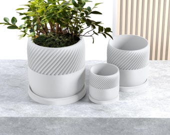 May include: Three white ceramic planters with a textured, ribbed design. The largest planter has a green plant inside.