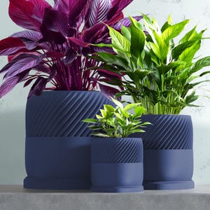 May include: Three potted plants in blue planters with a textured design. The plants are a dark purple leafy plant, a green leafy plant, and a smaller green leafy plant.