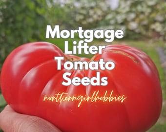 ¡GRANDES! ¡Semillas de tomate heirloom que te ayudan a levantar tu hipoteca! (10 semillas + regalo) Orgánicas/ Raras/ Envío combinado