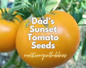 Semillas de tomate Dad's Sunset raras, reliquia/orgánicas (20 semillas + regalo)/ envío combinado