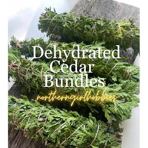 Cedar Bundle for Smudging/Incense/Meditation (6-8 inches) Dehydrated