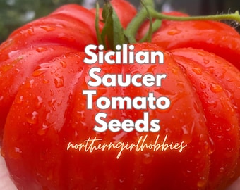 Semillas de tomate Sicilian Saucer Beefsteak Heirloom (TOMATES GIGANTES) 20 semillas + Regalo / Envío combinado Orgánico