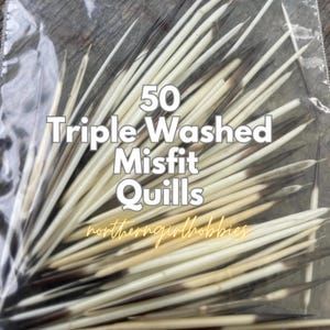 Misfit Porcupine Quills (Lot of 50)