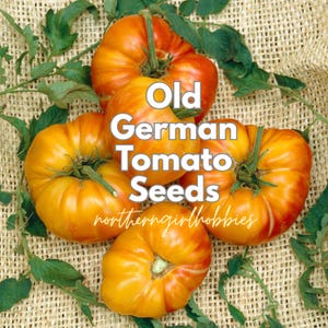 Sementes de tomate alemão antigo (20 sementes + brinde) ORGÂNICO TRADICIONAL | Frete combinado