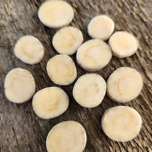 Genuine Antler Slices (White-Tailed Deer) Jewelry-Making | Buttons (Plus free gift)