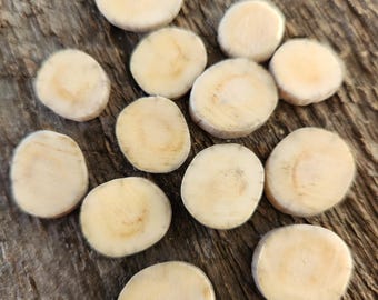 Genuine Antler Slices (White-Tailed Deer) Jewelry-Making | Buttons (Plus free gift)