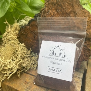 Birch Chaga Mushroom Powder (1/2 ounce)