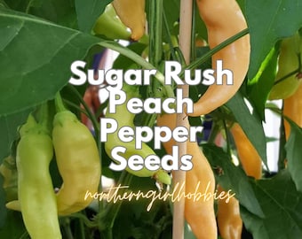 Semillas de pimiento picante Sugar Rush Peach (15 semillas + regalo) / Envío combinado Heirloom