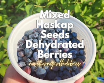 Gemischte Haskap | Honigbeere Samen (20 getrocknete Beeren | Viele Samen) Permakultur Staude | | Kombiversand möglich