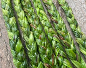 Fresh Sweetgrass BRAIDS (& Video Lesson in Description)