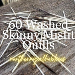 Skinny Misfit Porcupine Quills (Lot of 60)