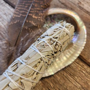 Smudging Kit | Vit salvia, abaloneskal och fjäder